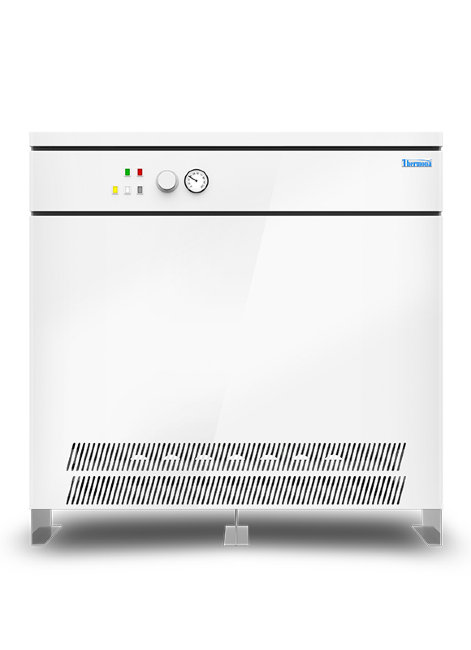 Газовый напольный котел THERMONA THERM 100 E в Екатеринбурге