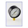 Манометр Watts радиальный1/2" 10 бар